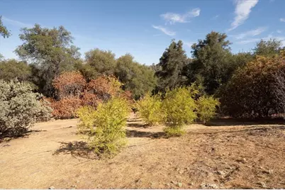 3279 Quail Run Road, Mariposa, CA 95338 - Photo 11