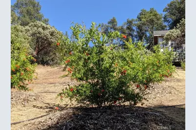 3279 Quail Run Road, Mariposa, CA 95338 - Photo 39