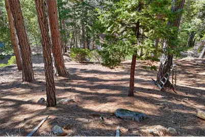 7349 & 7473 Yosemite Park Way, Yosemite, CA 95389 - Photo 5