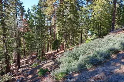 7349 & 7473 Yosemite Park Way, Yosemite, CA 95389 - Photo 15