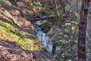 51354 Dorstan Dr, Oakhurst, CA 93644 - Photo 3