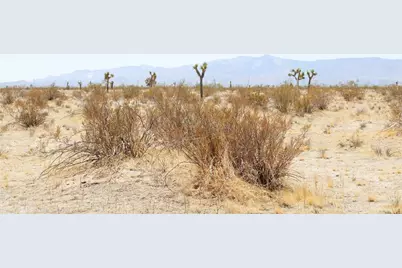 16999 Holly Road, Phelan, CA 92371 - Photo 9