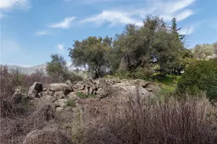 38758 Aster, Squaw Valley, CA 93675 - Photo 49