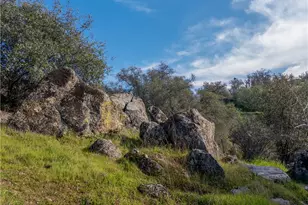 38758 Aster, Squaw Valley, CA 93675 - Photo 67
