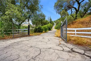 38758 Aster, Squaw Valley, CA 93675 - Photo 75