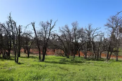 0 Douglas Road, Coarsegold, CA 93614 - Photo 13