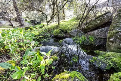 44410 Quail Court, Coarsegold, CA 93614 - Photo 53