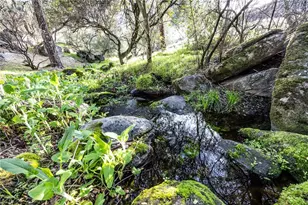 44410 Quail Ct, Coarsegold, CA 93614 - Photo 53