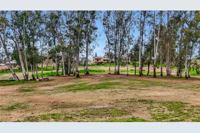 31031 Donald Avenue, Madera, CA 93636 - Photo 37