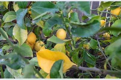 4514 W Oswego, Fresno, CA 93722 - Photo 29