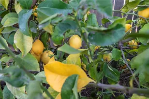 4514 W Oswego, Fresno, CA 93722 - Photo 29