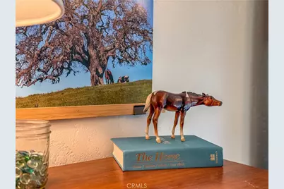 5275 State Highway 49, Mariposa, CA 95338 - Photo 47