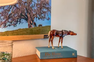 5275 State Hwy 49, Mariposa, CA 95338 - Photo 47