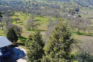 38075 Willowood, Squaw Valley, CA 93675 - Photo 31