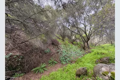 39313 Squaw Valley, Squaw Valley, CA 93675 - Photo 35