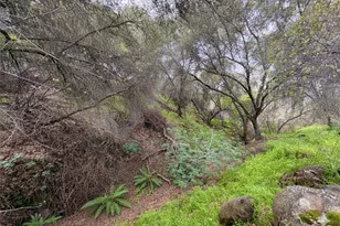 39313 Squaw Valley, Squaw Valley, CA 93675 - Photo 35