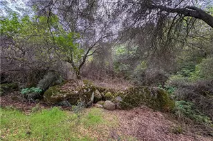 39313 Squaw Valley, Squaw Valley, CA 93675 - Photo 37