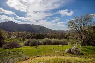 49980 Daffodil, Squaw Valley, CA 93675 - Photo 19