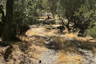 28923 Hwy 41, Coarsegold, CA 93614 - Photo 51