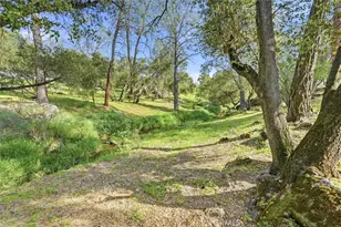 28911 Gray Squirrel, Coarsegold, CA 93614 - Photo 35