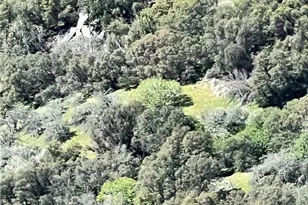 44981 Todd Eymann Rd, Miramonte, CA 93641 - Photo 63