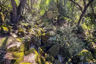 44981 Todd Eymann Rd, Miramonte, CA 93641 - Photo 49