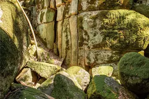 44981 Todd Eymann Rd, Miramonte, CA 93641 - Photo 53