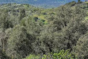 44981 Todd Eymann Rd, Miramonte, CA 93641 - Photo 51