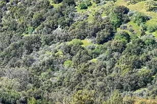 44981 Todd Eymann Rd, Miramonte, CA 93641 - Photo 65