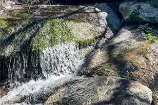 44981 Todd Eymann Rd, Miramonte, CA 93641 - Photo 5