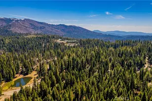 1163 Silver Tip, Fish Camp, CA 93623 - Photo 31