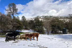 [Address not provided], Coarsegold, CA 93614 - Photo 49