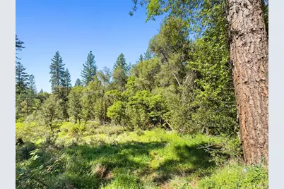 22666 Lower Quail Mine Road, Sonora, CA 95370 - Photo 11