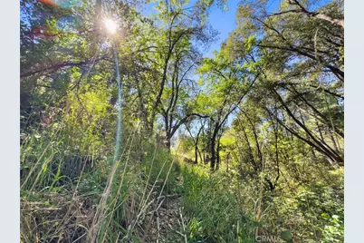 22666 Lower Quail Mine Road, Sonora, CA 95370 - Photo 17