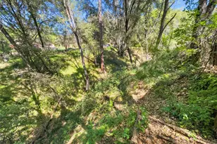 22666 Lower Quail Mine Rd, Sonora, CA 95370 - Photo 15