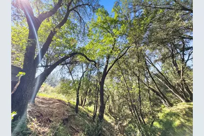 22666 Lower Quail Mine Road, Sonora, CA 95370 - Photo 21