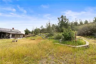 8185 French Flat, Jamestown, CA 95327 - Photo 61