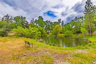 48441 Woodbend Ct, Oakhurst, CA 93644 - Photo 61
