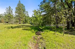 36556 Mudge Ranch Rd, Coarsegold, CA 93614 - Photo 57