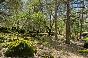 36556 Mudge Ranch Rd, Coarsegold, CA 93614 - Photo 47