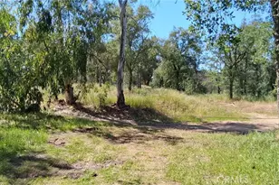 35778 Wells Rd, Coarsegold, CA 93614 - Photo 3