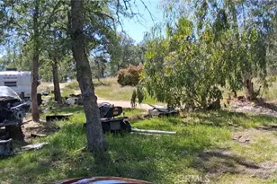 35778 Wells Rd, Coarsegold, CA 93614 - Photo 5