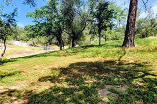 42011 Long Hollow, Coarsegold, CA 93614 - Photo 11