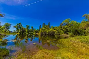 43980 Hwy 49, Ahwahnee, CA 93601 - Photo 49