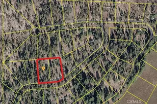 46336 Silvertip, Mono Hot Springs, CA 93643 - Photo 71