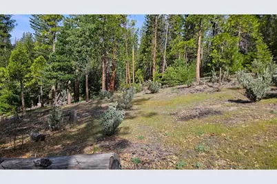46336 Silvertip, Mono Hot Springs, CA 93643 - Photo 65