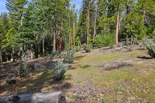 46336 Silvertip, Mono Hot Springs, CA 93643 - Photo 65