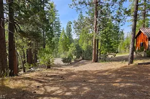 46336 Silvertip, Mono Hot Springs, CA 93643 - Photo 59