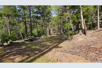 46336 Silvertip, Mono Hot Springs, CA 93643 - Photo 63