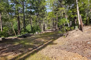 46336 Silvertip, Mono Hot Springs, CA 93643 - Photo 63